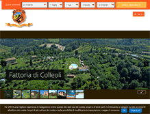 Tablet Screenshot of colleoli.it